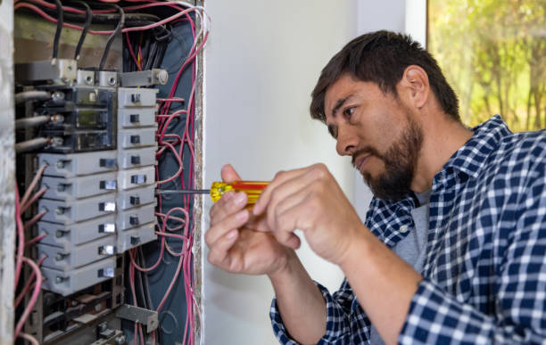 Best Electric Panel Repair  in Winnsboro Mills, SC